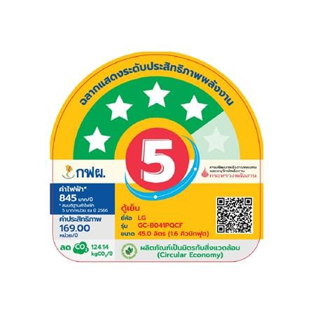 ตู้เย็น 1 ประตู LG GC-B041PQCF.ADVPLMT 1.6 คิว สีเงิน_5