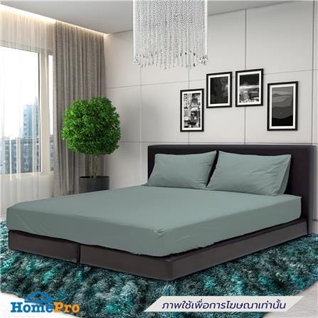 ชุดผ้าปูที่นอน 3.5 ฟุต (ชุด 3 ชิ้น) STEVENS PURE COTTON EK01GN_0