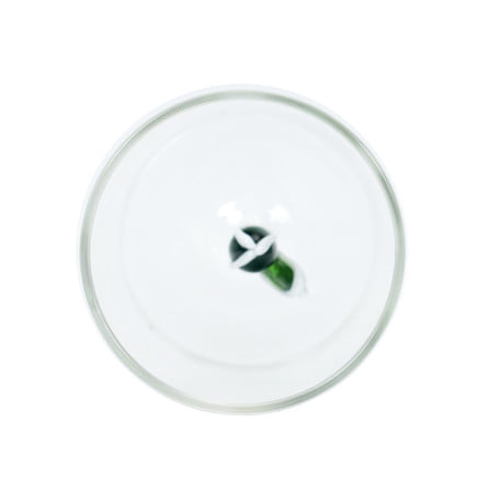 แก้วน้ำ HOMEPRO ลายต้นกระบองเพชร 400 มล._3