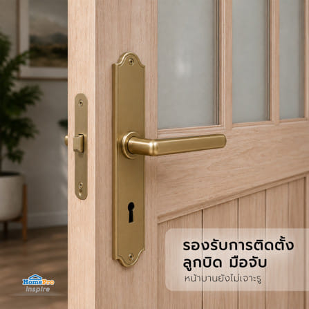 ประตูไม้เนื้อแข็ง ไม่เจาะลูกบิด AZLE ZEN2 70x200 ซม._5