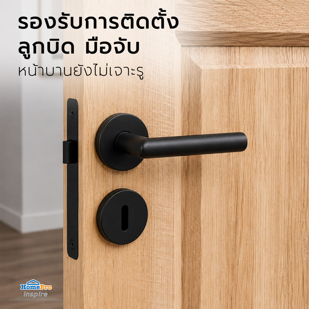 ประตูไม้เนื้อแข็ง ไม่เจาะลูกบิด AZLE 4 ฟักตั้ง 100x200 ซม.