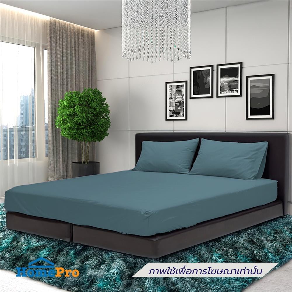 ชุดผ้าปูที่นอน 3.5 ฟุต (ชุด 3 ชิ้น) STEVENS PURE COTTON EK01BL