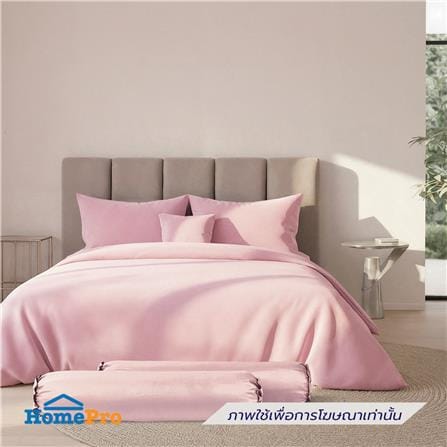 ปลอกหมอนข้าง PREMIER SATIN ROYAL TOUCH SOLID SPC087_3
