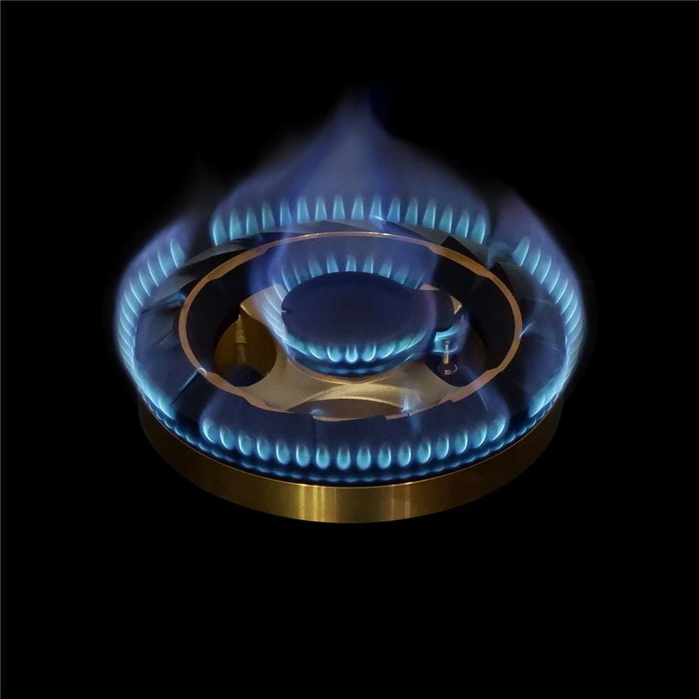 เตาฝังแก๊ส AXIA PRESTIGE80-2G 80 ซม.