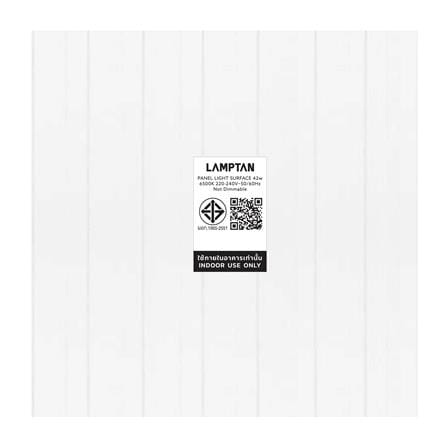 โคมติดลอย LED LAMPTAN PANEL ANNEX 42 วัตต์ 60x60 ซม. DAYLIGHT_10