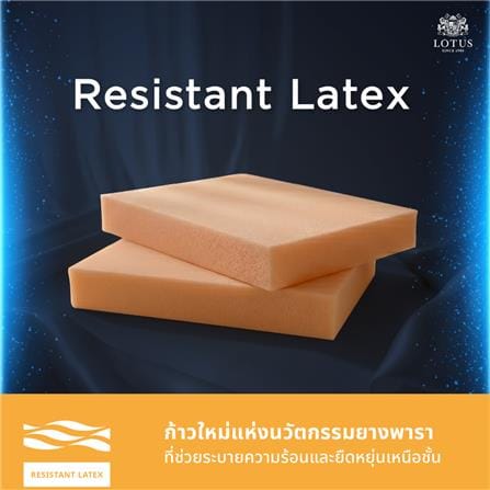 ที่นอนไฮบริด 3.5 ฟุต LOTUS MAJOR_11