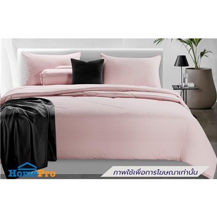 ชุดผ้าปูที่นอน 5 ฟุต (ชุด 6 ชิ้น) STEVENS PURE COTTON EK01PK_0