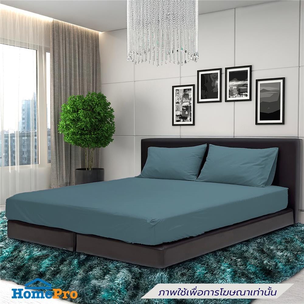 ชุดผ้าปูที่นอน 6 ฟุต (ชุด 5 ชิ้น) STEVENS PURE COTTON EK01BL