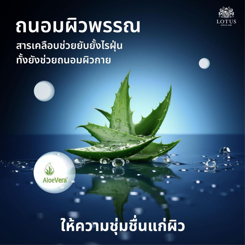 ที่นอนสปริง 6 ฟุต LOTUS LUCERNE