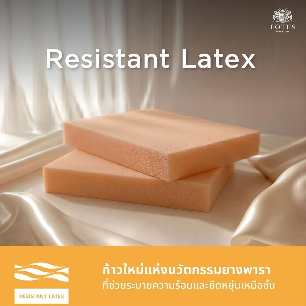 ที่นอนสปริง 6 ฟุต LOTUS LUCERNE