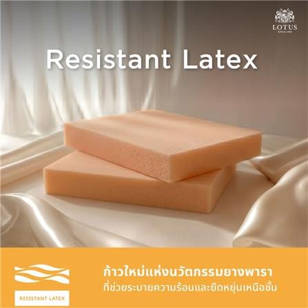ที่นอนสปริง 3.5 ฟุต LOTUS LUCERNE_11