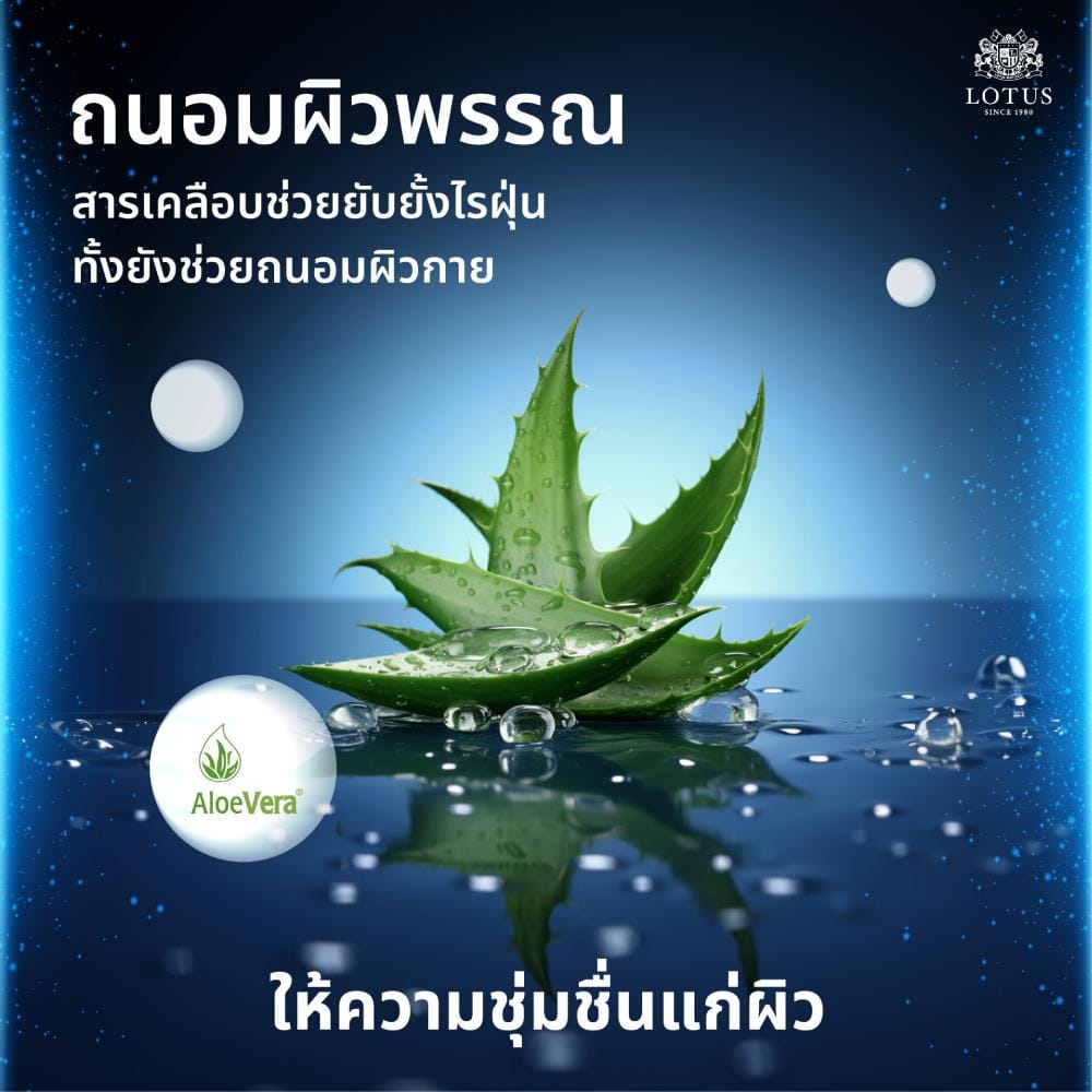 ที่นอนไฮบริด 6 ฟุต LOTUS MAJOR