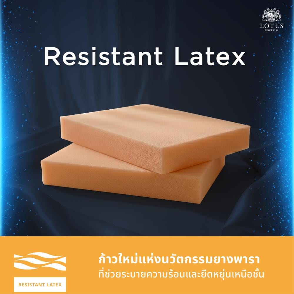 ที่นอนไฮบริด 6 ฟุต LOTUS MAJOR