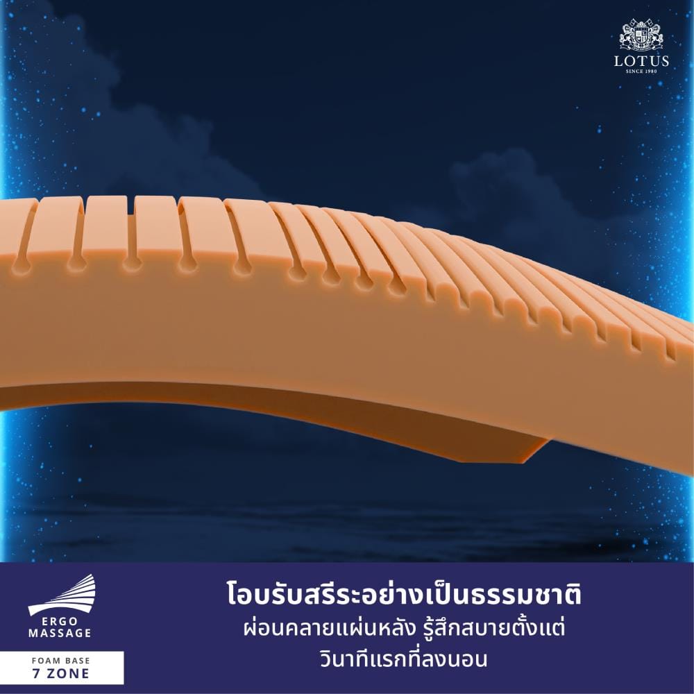 ที่นอนไฮบริด 6 ฟุต LOTUS MAJOR