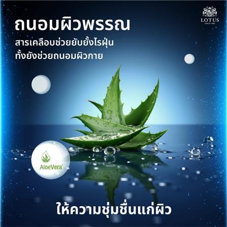ที่นอนไฮบริด 6 ฟุต LOTUS MAJOR_8