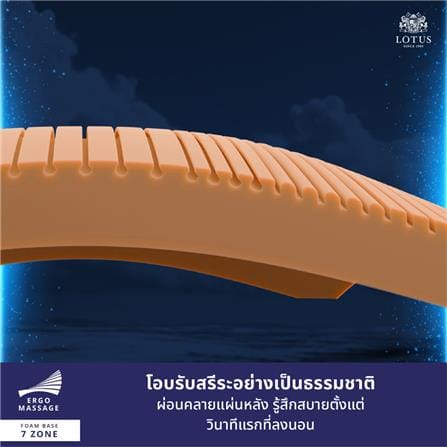 ที่นอนไฮบริด 6 ฟุต LOTUS MAJOR_13