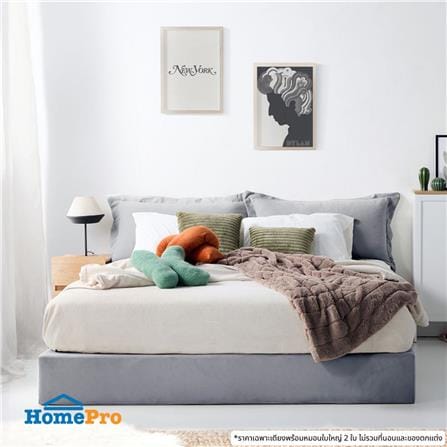 เตียง 5 ฟุต SB FURNITURE SNIZZ 19253378 สีเทาอ่อน_2