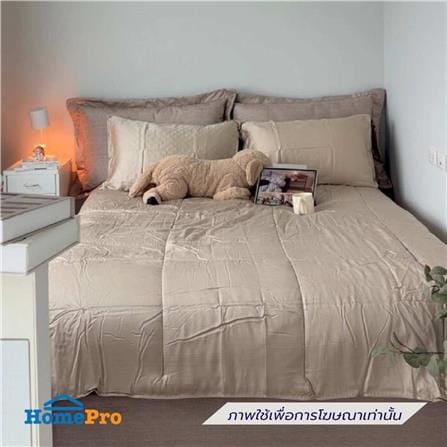 เตียง 5 ฟุต SB FURNITURE SNIZZ 19254721 สีน้ำตาลอ่อน_4