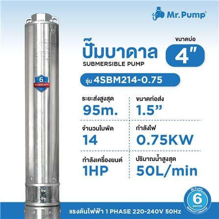 ปั๊มบาดาล บ่อ 4 นิ้ว MR.PUMP 4SBM214-0.75 750 วัตต์_3