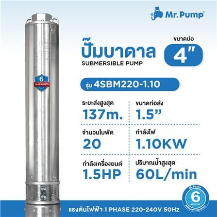 ปั๊มบาดาล บ่อ 4 นิ้ว MR.PUMP 4SBM220-1.10 1100 วัตต์_3