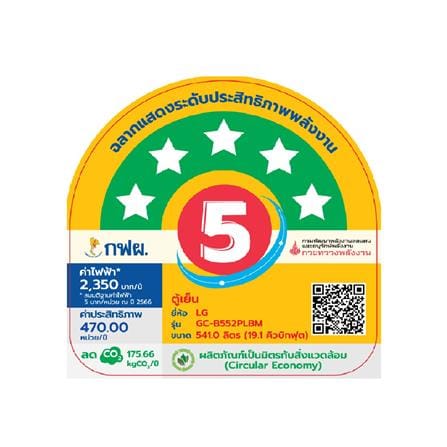 ตู้เย็น 2 ประตู LG GC-B552PLBM.APYPLMT 19.1 คิว สีเงิน_6