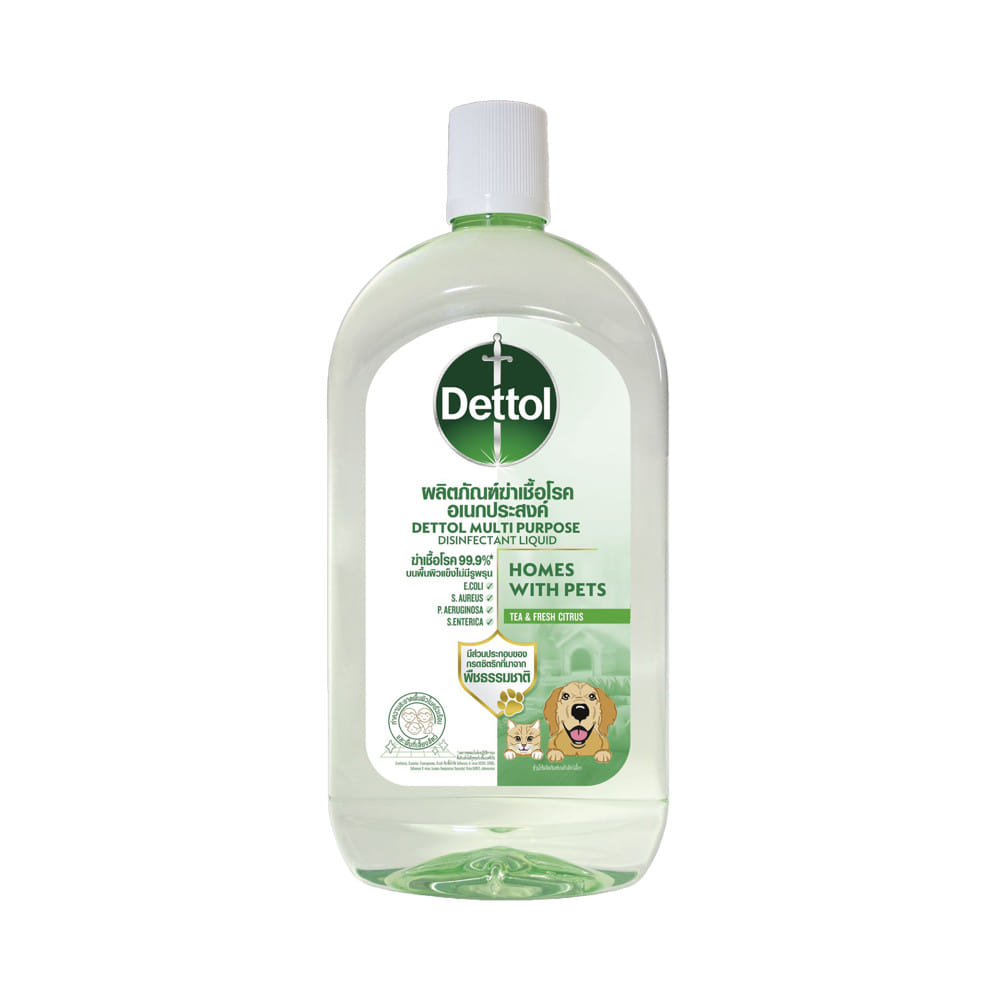 น้ำยาฆ่าเชื้อโรคอเนกประสงค์ DETTOL 1000 มล. TEA&FRESH CITRUS