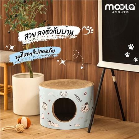 ที่ลับเล็บแมว ทรงอุโมงค์ MOOLA สีฟ้า_6