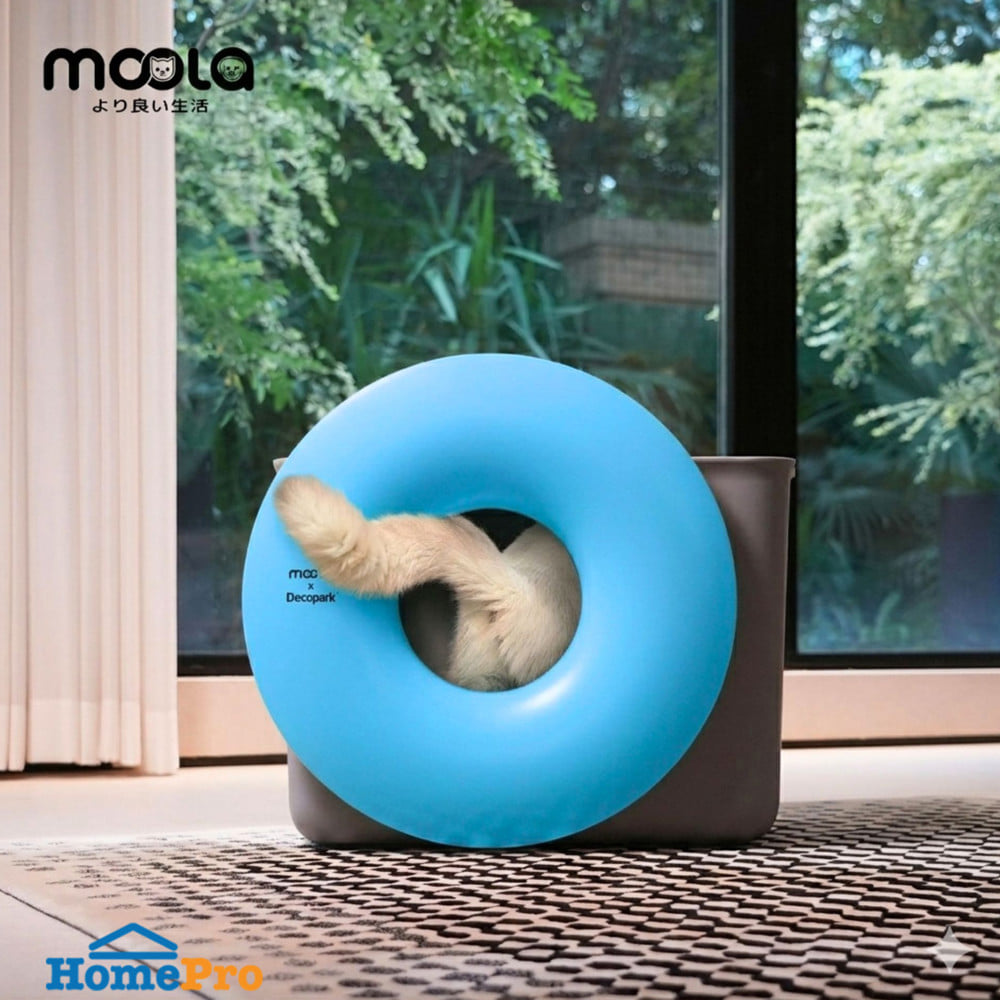 กระบะทรายแมว MOOLA สีฟ้า