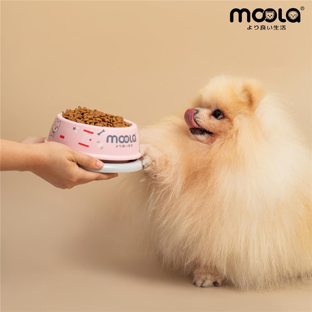 ชามอาหารสัตว์เลี้ยง MOOLA สีชมพู