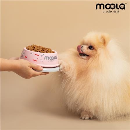 ชามอาหารสัตว์เลี้ยง MOOLA สีชมพู_1