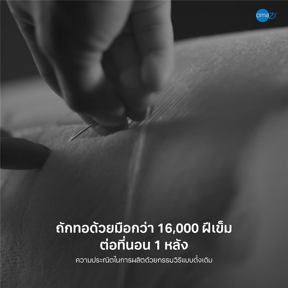 ที่นอนไฮบริด 5 ฟุต OMAZZ รุ่น FELICITY (พร้อมหมอนหนุน 2 ชิ้น)