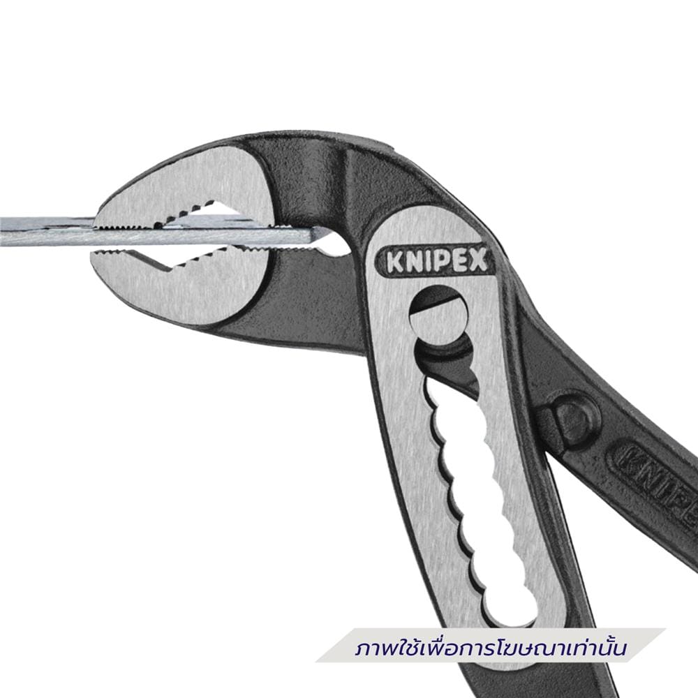คีมปั๊มน้ำ ALLIGATOR 180 มม. KNIPEX 88 01 180