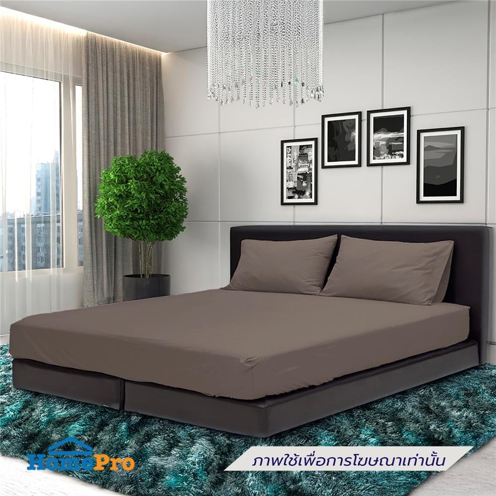 ชุดผ้าปูที่นอน 6 ฟุต (ชุด 5 ชิ้น) STEVENS PURE COTTON EK01BR