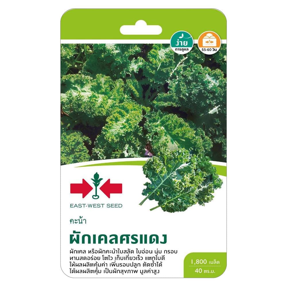 เมล็ดพันธุ์ผักเคล ตราศรแดง
