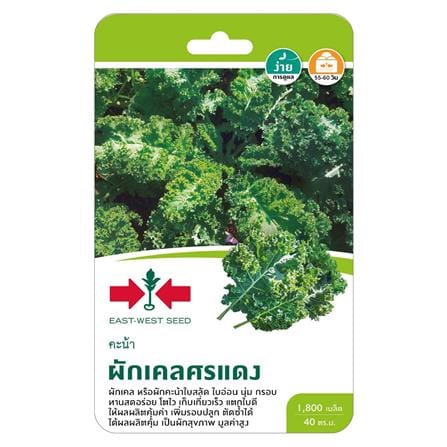 เมล็ดพันธุ์ผักเคล ตราศรแดง_0