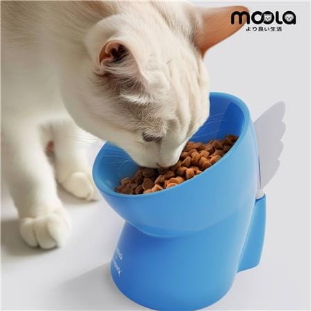 ชามใส่อาหารสัตว์เลี้ยง MOOLA สีฟ้า_2