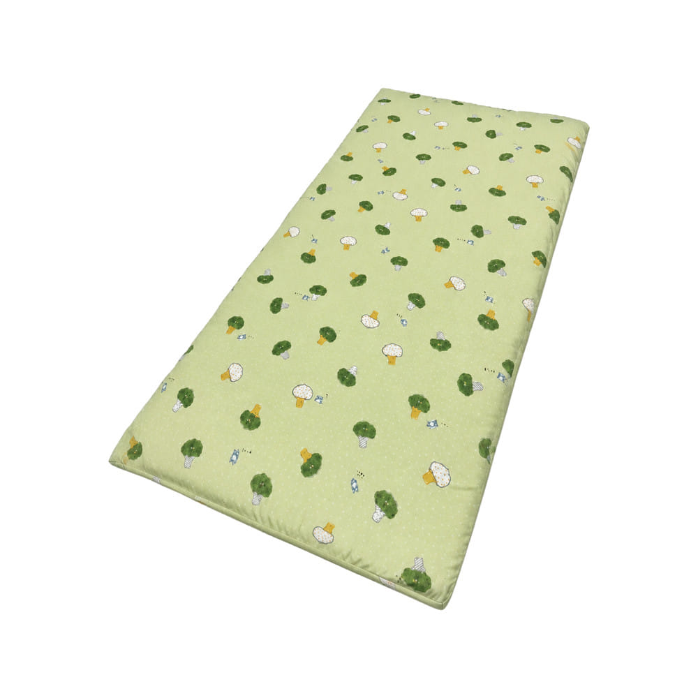ที่นอนปิกนิก SNAZZ BROCCOLI 90x180 ซม. สี GREEN