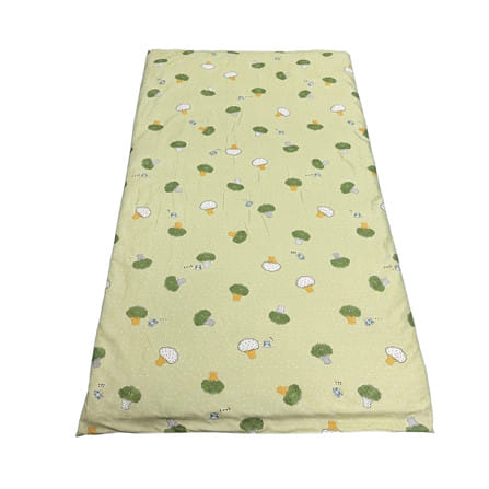 ที่นอนปิกนิก SNAZZ BROCCOLI 90x180 ซม. สี GREEN_1