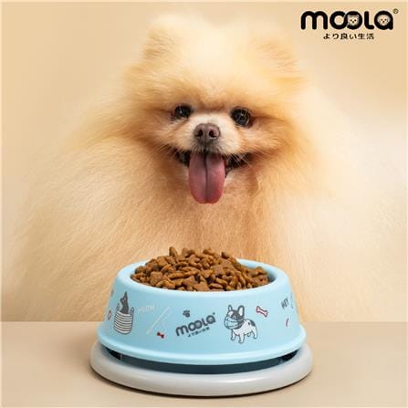 ชามอาหารสัตว์เลี้ยง MOOLA สีฟ้า_1