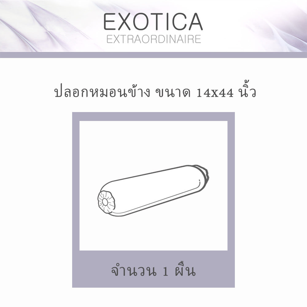 ปลอกหมอนข้าง EXOTICA 42HC สี GOLD