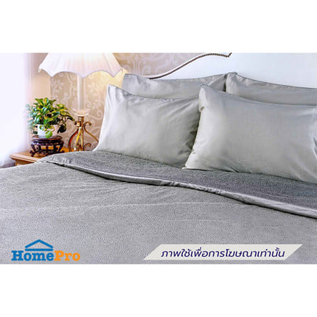 ปลอกหมอนหนุน  EXOTICA 42HC สี GREY_4