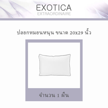 ปลอกหมอนหนุน  EXOTICA 42HC สี GREY_5