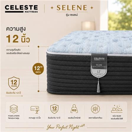 ที่นอนพ็อกเก็ตสปริง 5 ฟุต CELESTE MATTRESS SELENE (พร้อมชุดเครื่องนอน 10 ชิ้น)_6