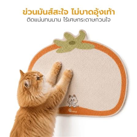 แผ่นลับเล็บแมว PETUS สีส้ม_3