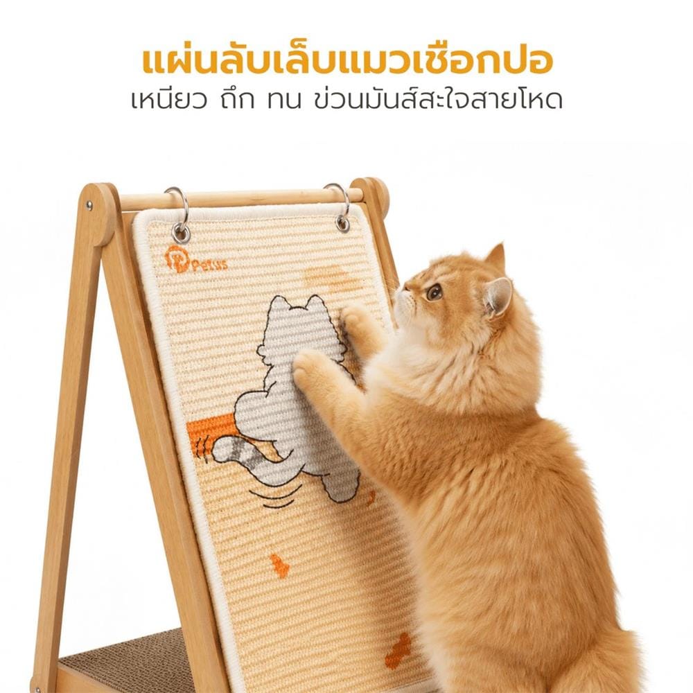 ที่ลับเล็บแมว PETUS สีส้ม
