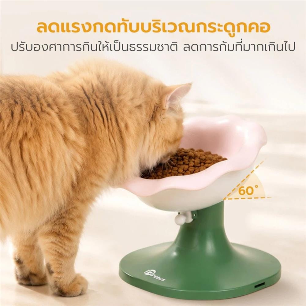 ชามอาหาร PETSTAR PBOWL01 สีเขียว/ชมพู
