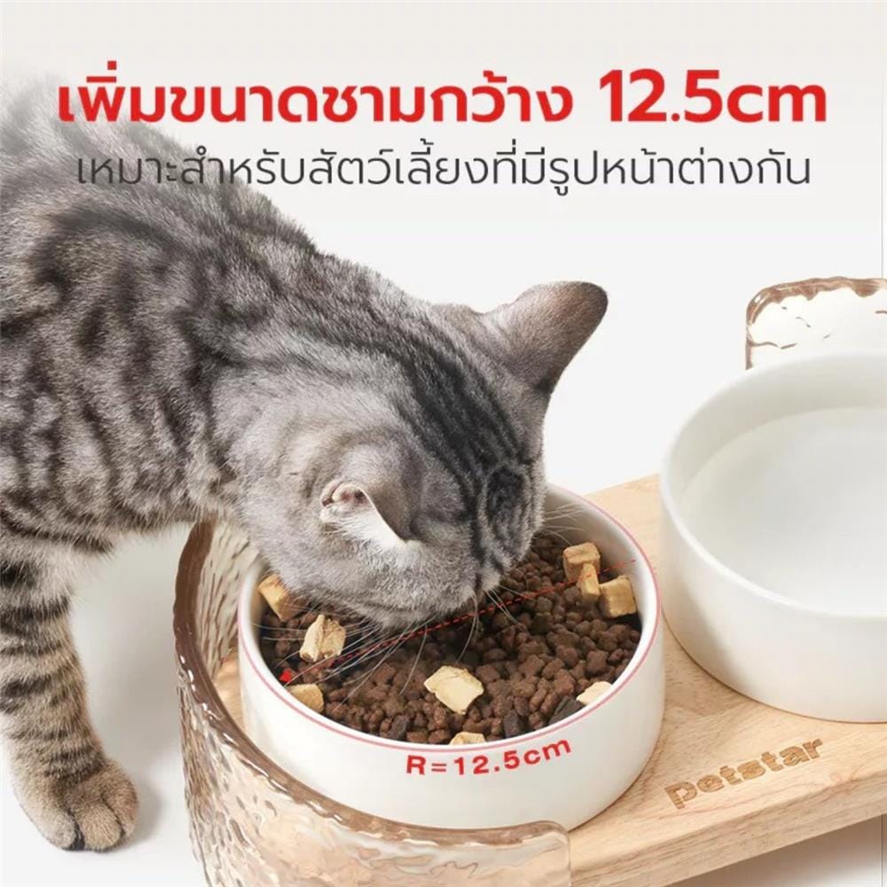 ชามอาหารสำหรับสัตว์เลี้ยง PETSTAR PSRQ0210 สีขาว