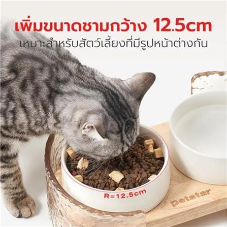 ชามอาหารสำหรับสัตว์เลี้ยง PETSTAR PSRQ0210 สีขาว_2