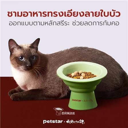 ชามอาหาร PETSTAR PSRQ0232 สีเขียว_2