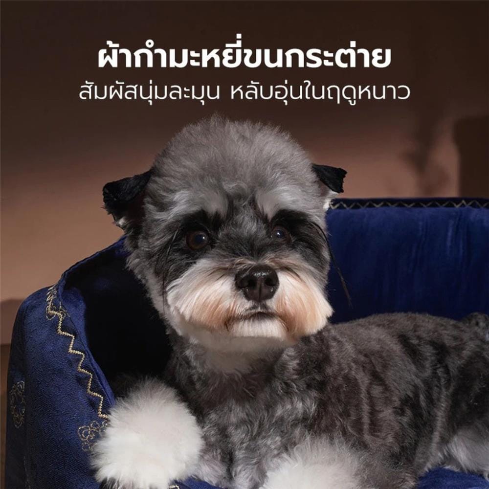 เบาะรองนั่ง PETSTAR SRW0581 ไซซ์ M สีน้ำเงิน
